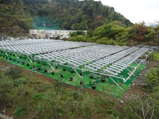 静岡県静岡市葵区S様ブルーベリー(54kw)アルミ架台1